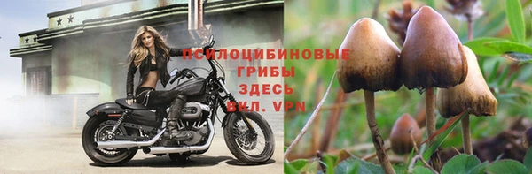 крисы Бугульма