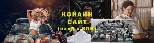 крисы Бугульма