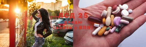 крисы Бугульма