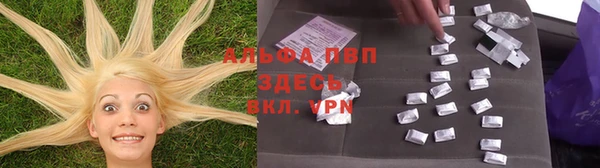 крисы Бугульма