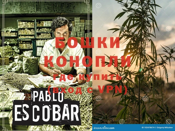 крисы Бугульма