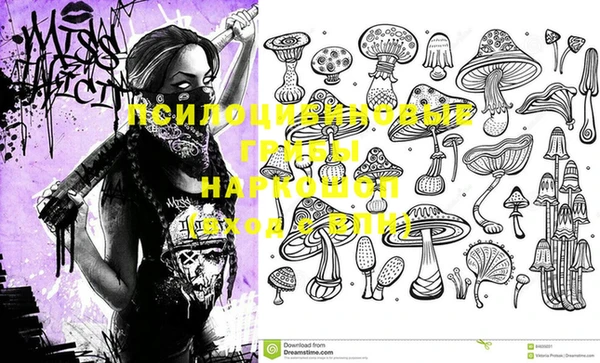 ECSTASY Бронницы